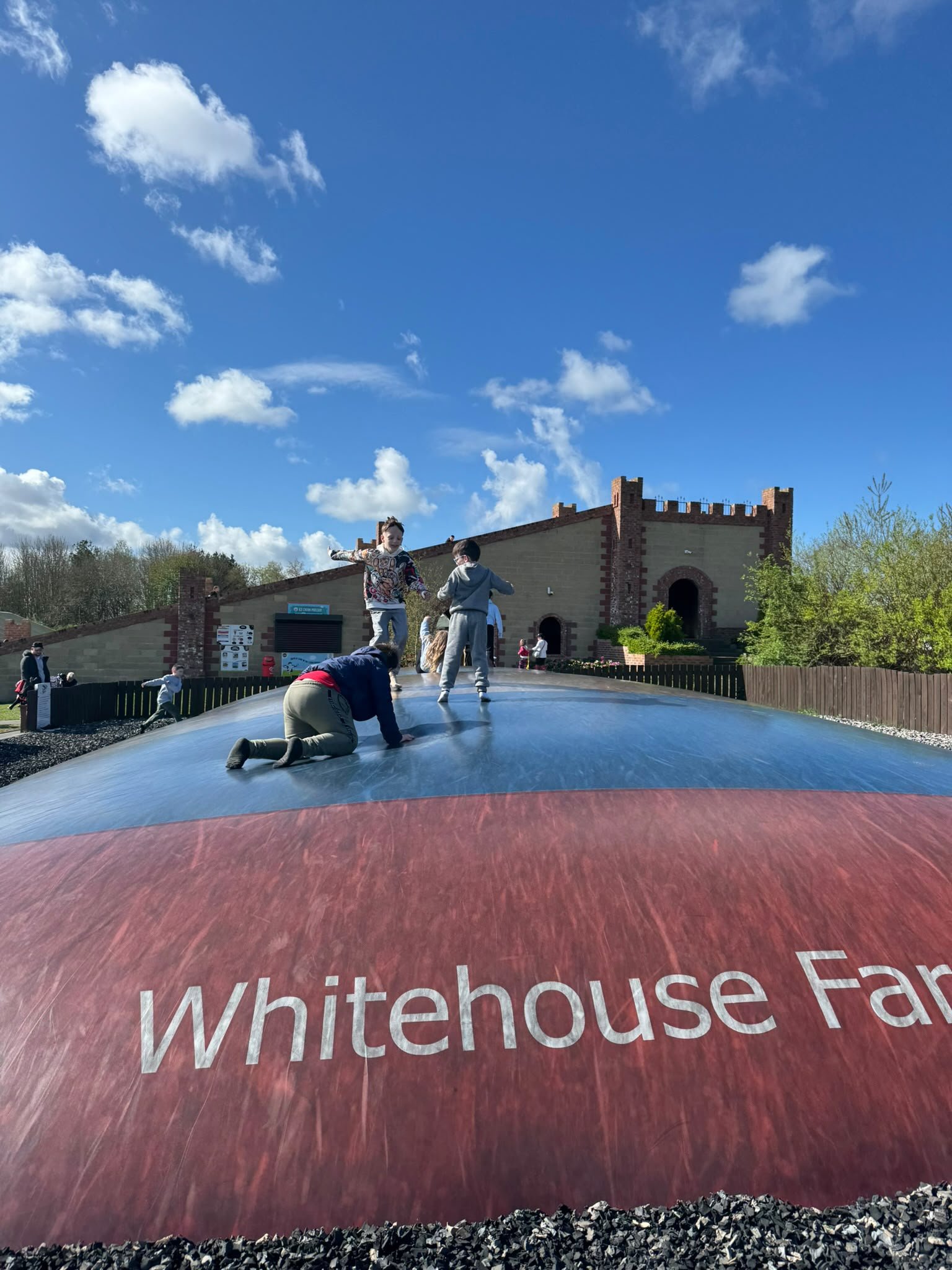 Family activities and trips gallery photo 3