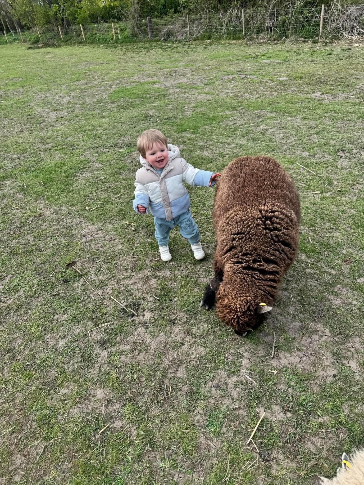 Children enjoying an animals and nature activity