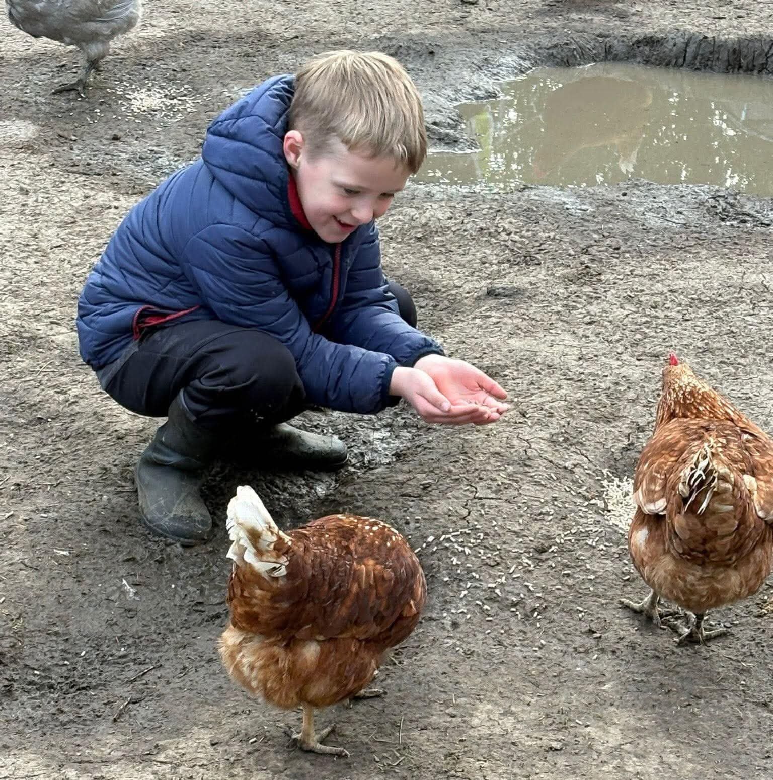 Farm Therapy gallery photo 12